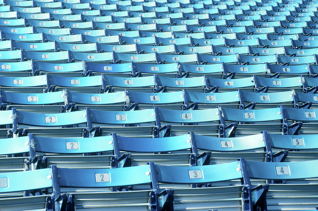 Stadium Seating