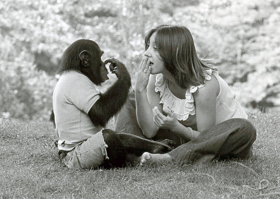 Laura-Ann Petitto with Nim the chimpanzee