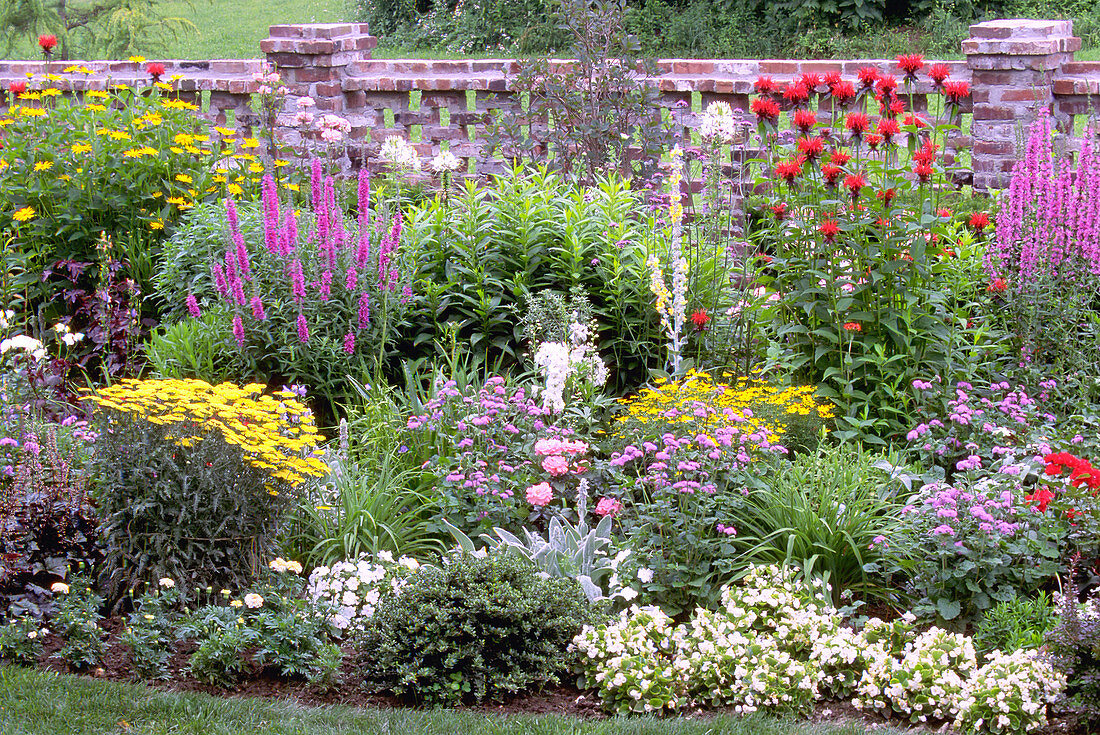 Perennial garden with various flowers