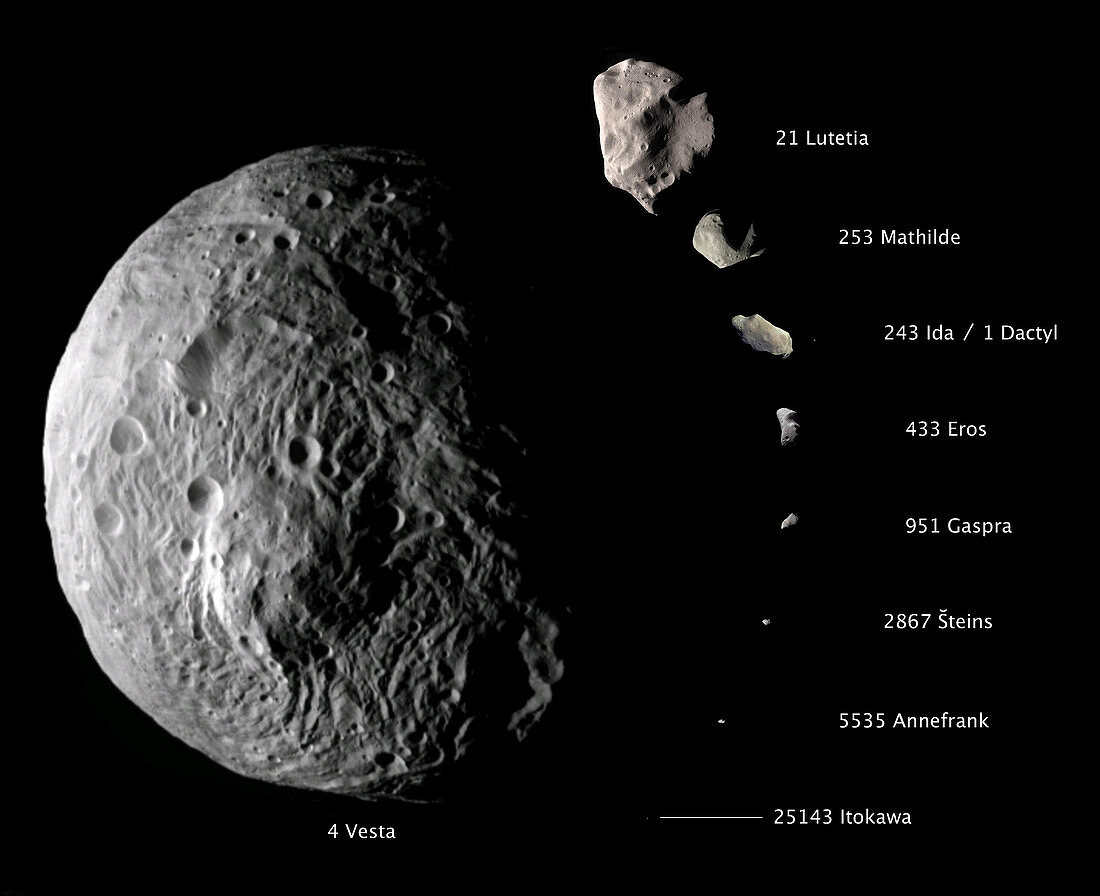 Asteroid Size Comparison with Vesta