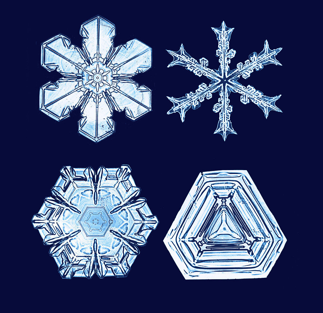 Snowflakes