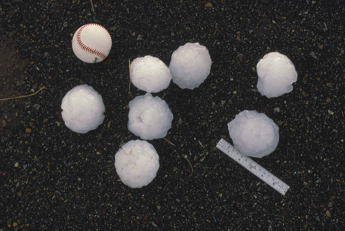 Softball Sized Hailstones