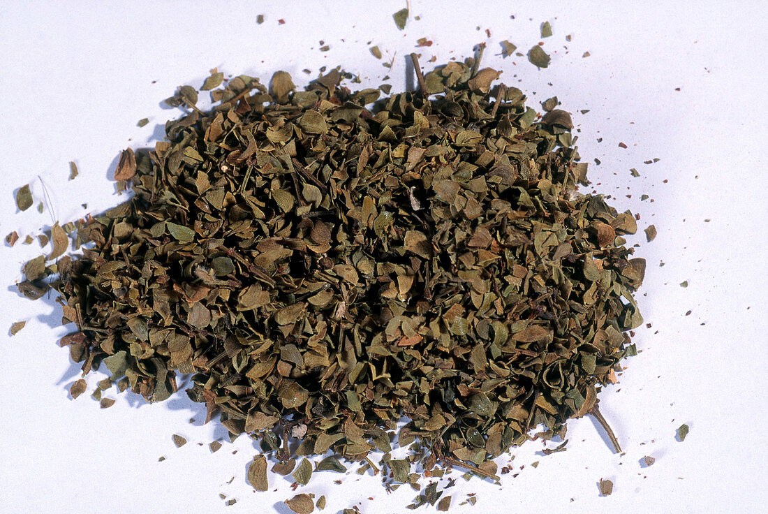 Chaparral Herb