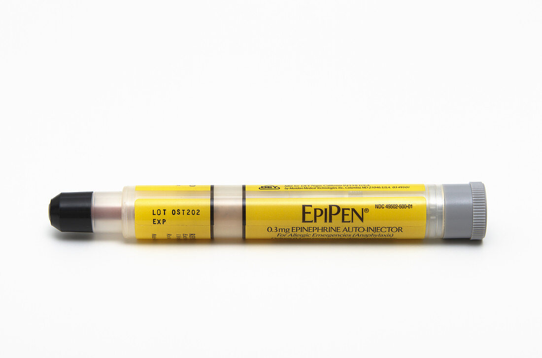 EpiPen (Epinephrine Autoinjector)