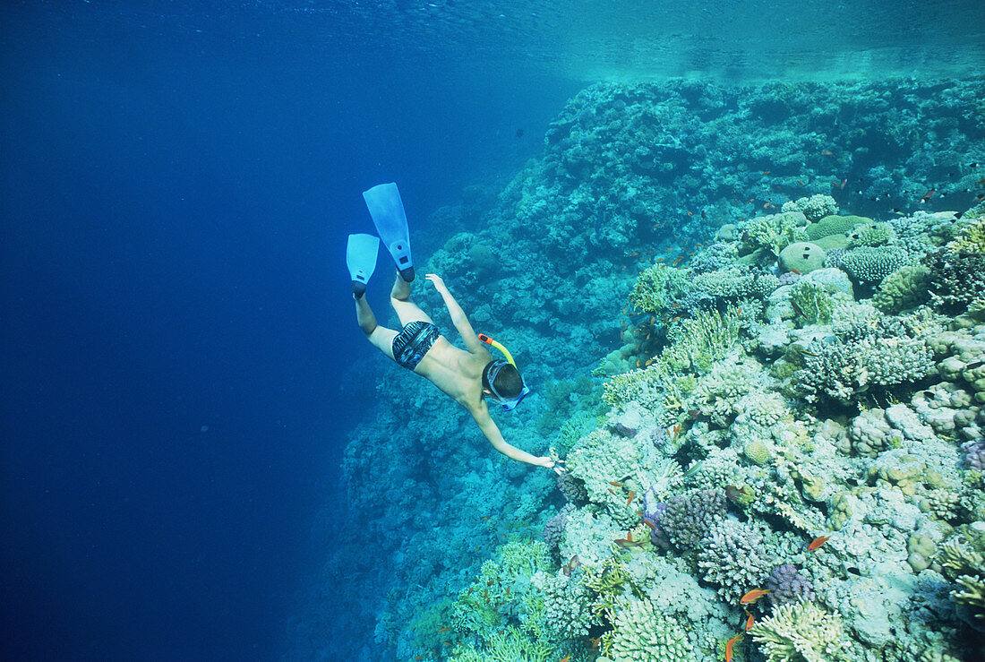 Child snorkelling on coral reef