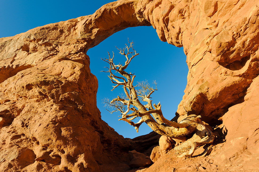 Turret Arch,Arches National Park