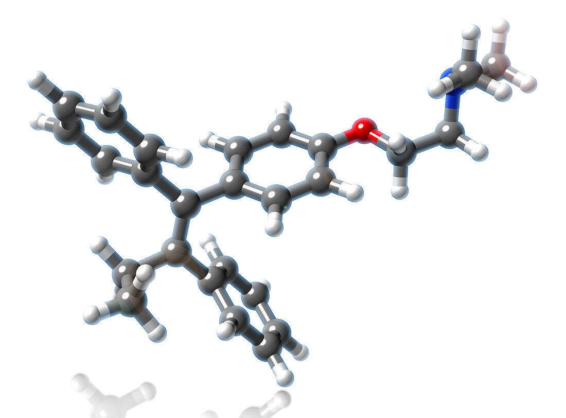 Tamoxifen Molecular Model