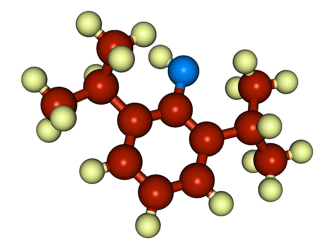Propofol (Diprivan) molecular model
