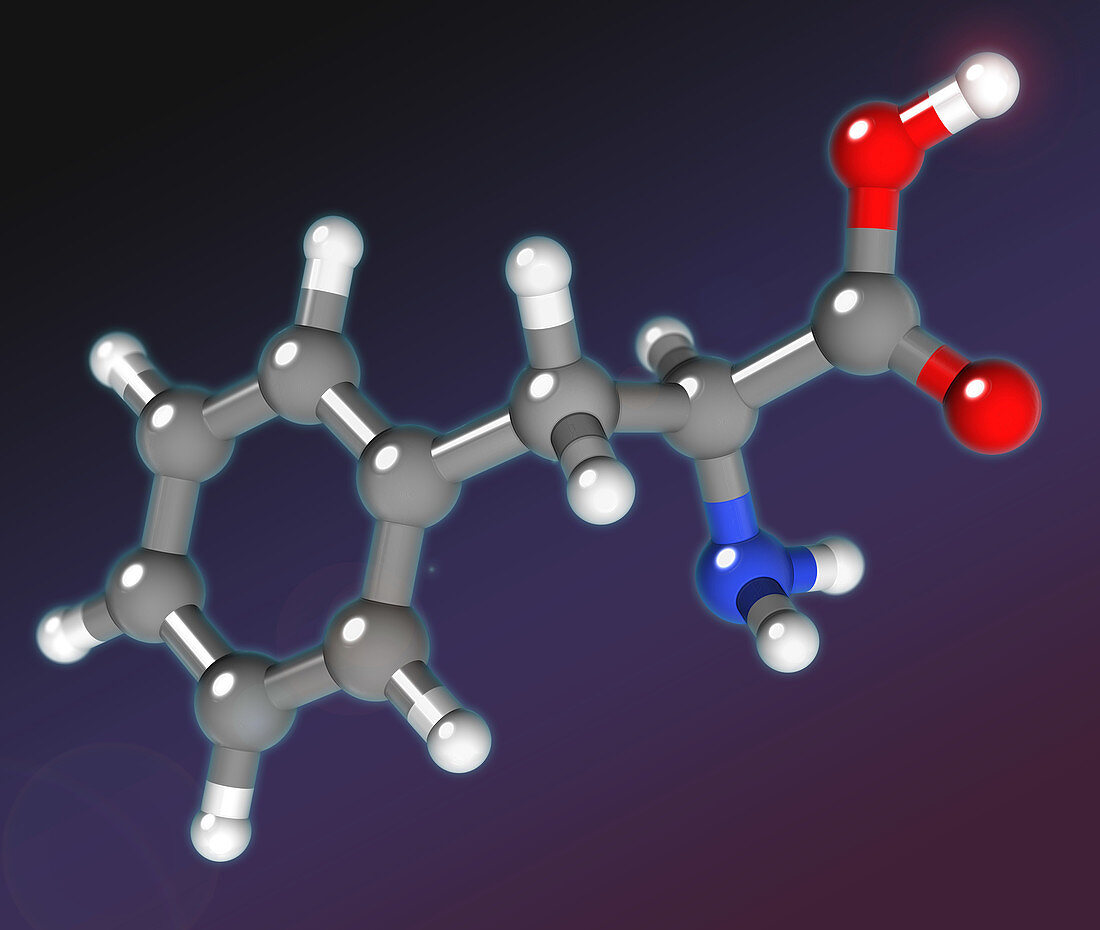 Phenylalanine