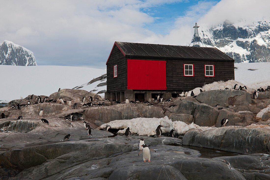 Historic Antarctic Base