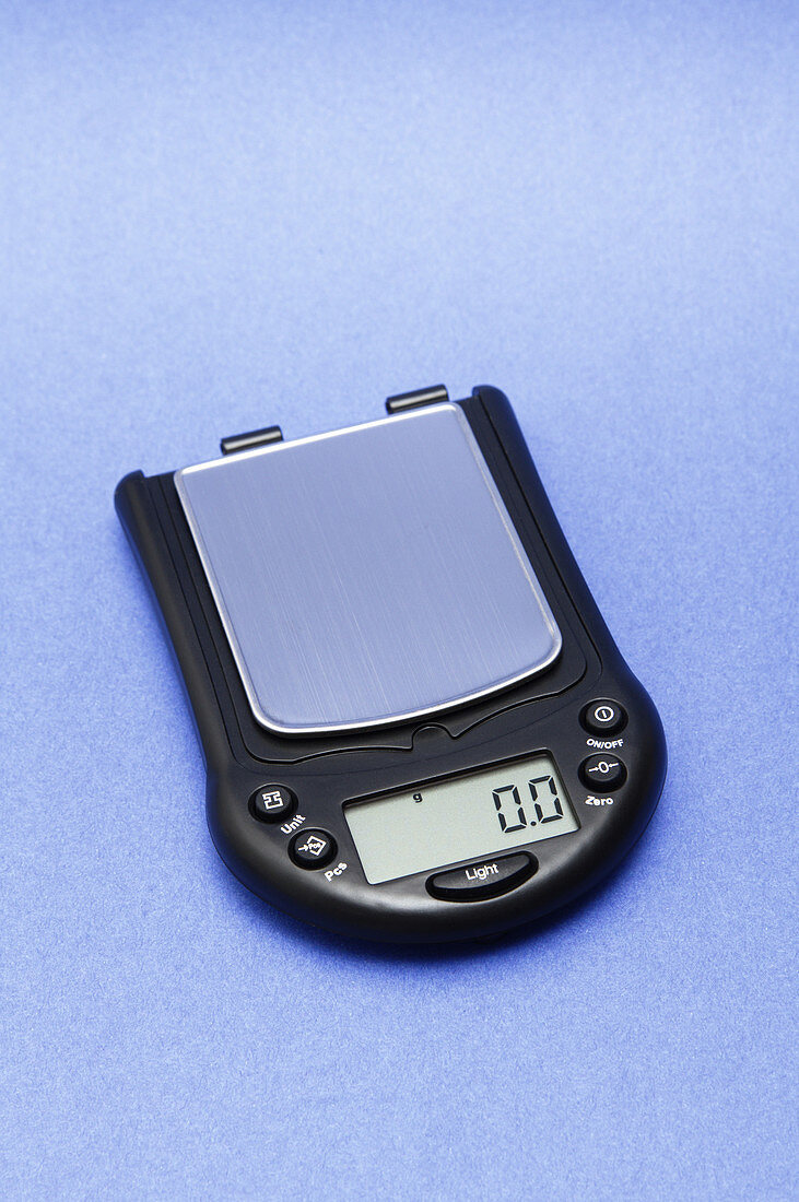 Small digital scale