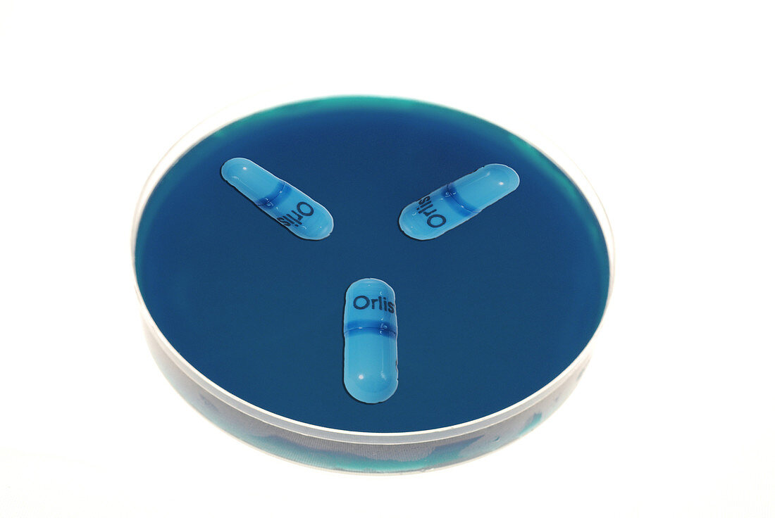 Orlistat Pills in a Petri Dish