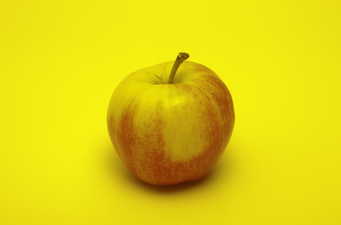 Apple in Colored Light,2 of 5