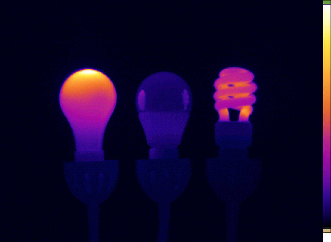 Thermogram of Light Bulbs