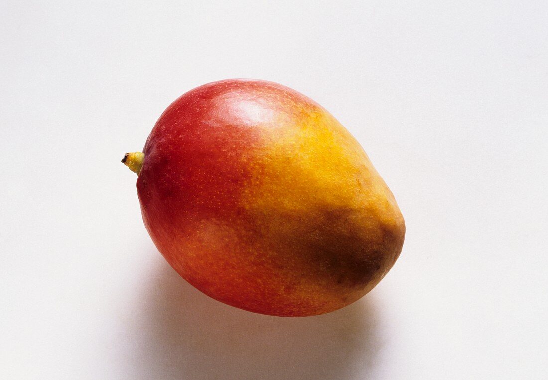 Ein reife Mango