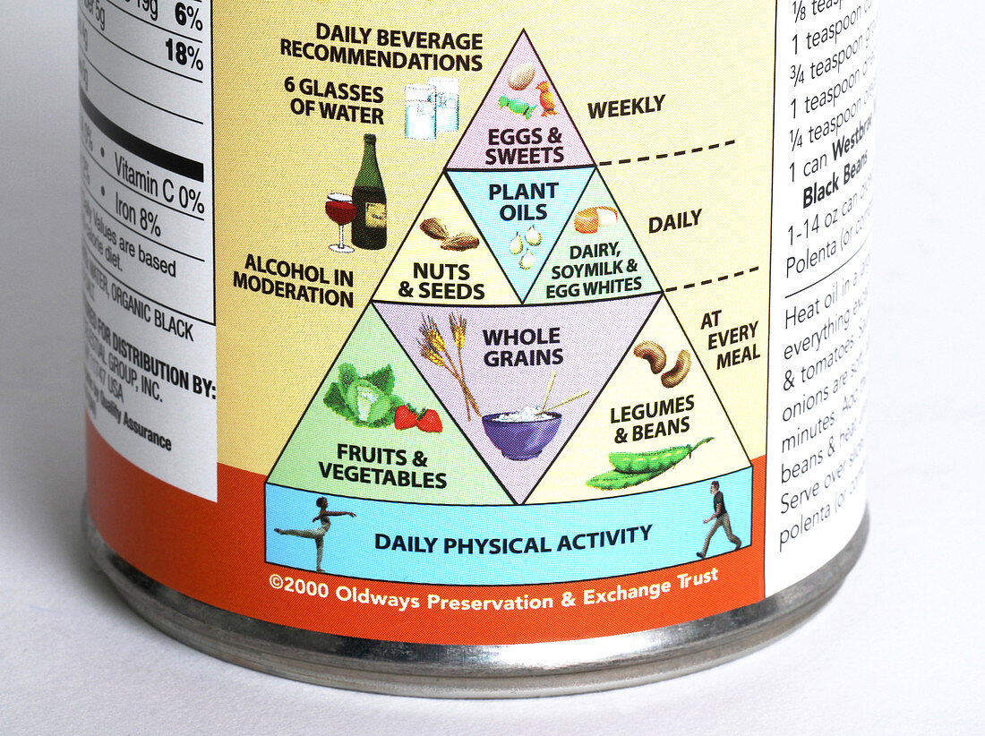 Bean Can with Food Pyramid