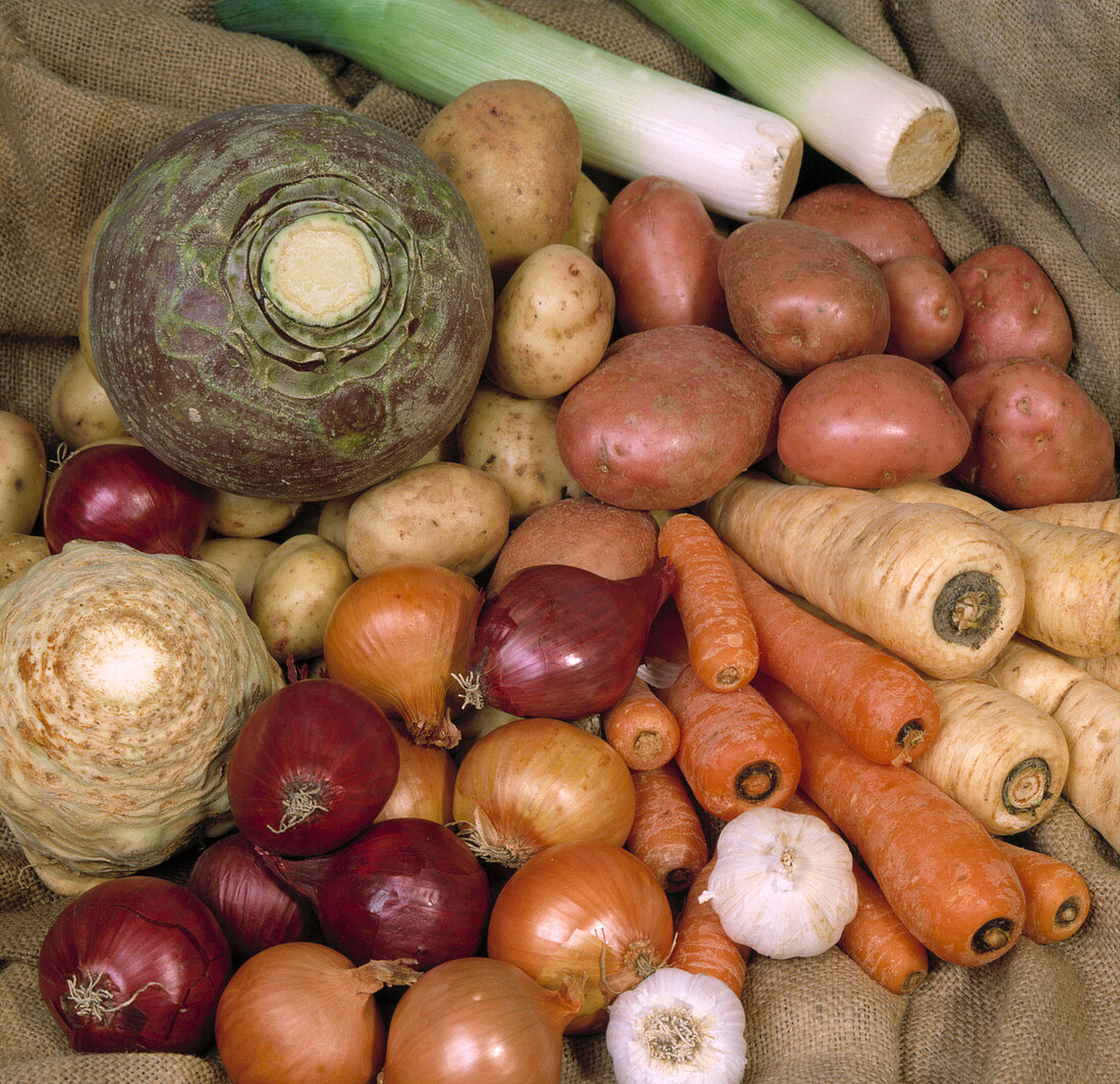 A selection of harvested root vegetables