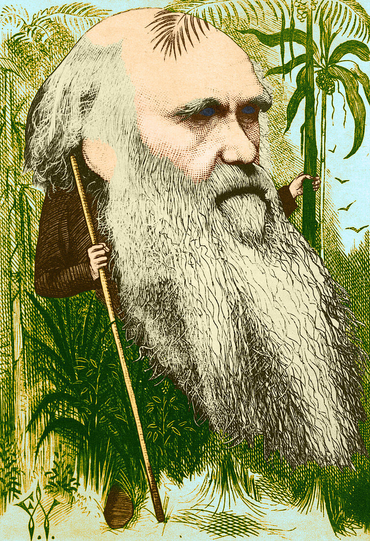 Charles Robert Darwin,English Naturalist