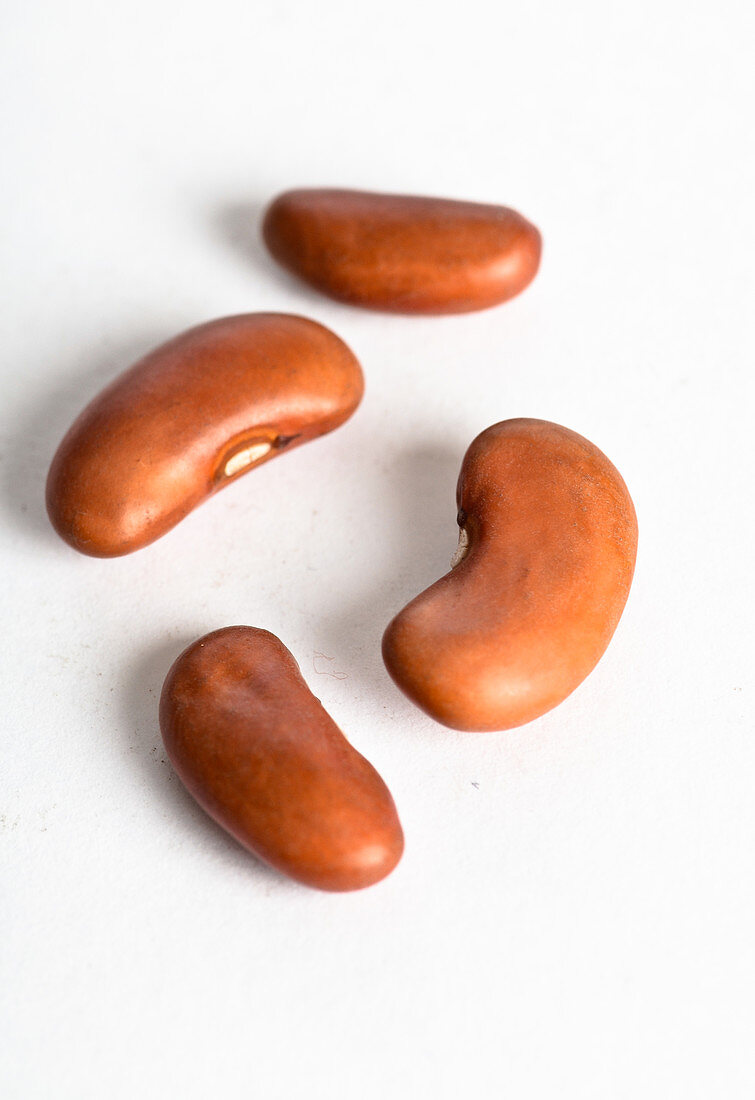 Kidney Bean