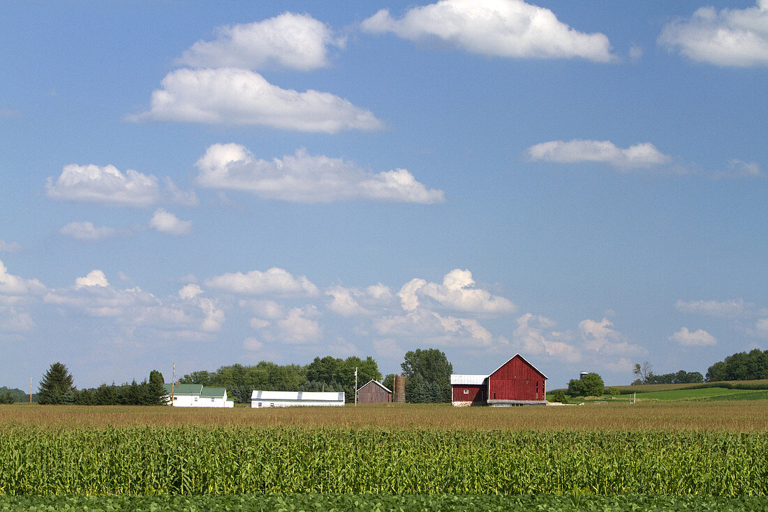 Midwestern Farm