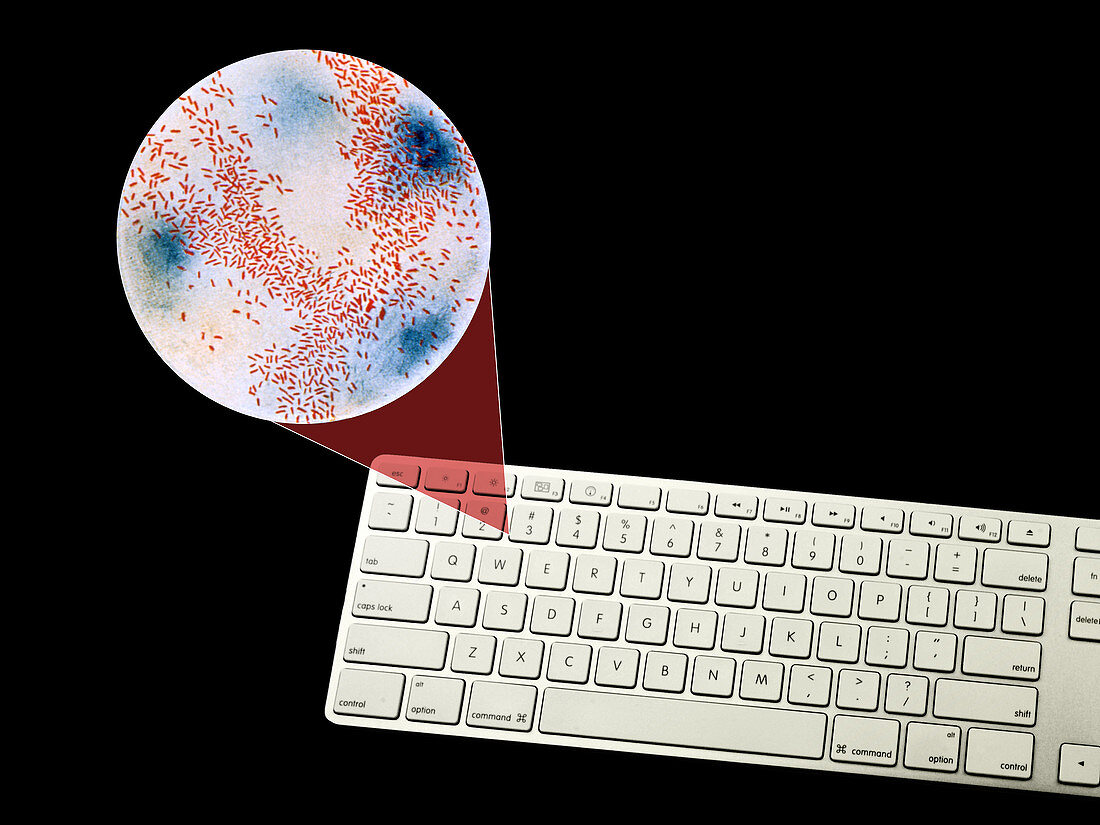 Keyboard and Germs