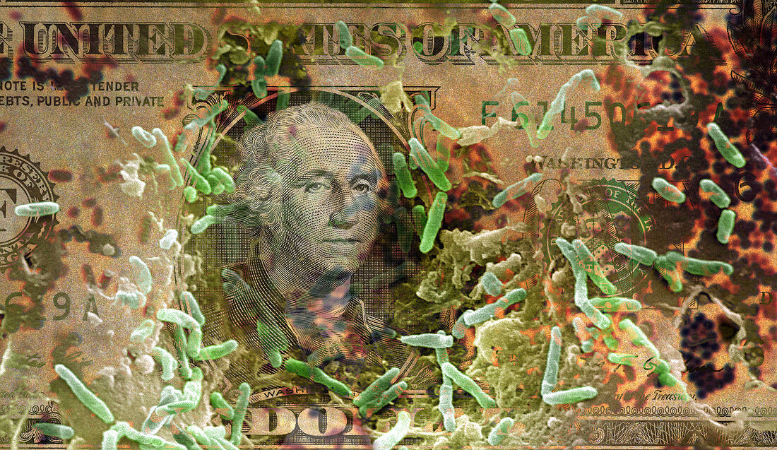 Dollar Bill and Germs