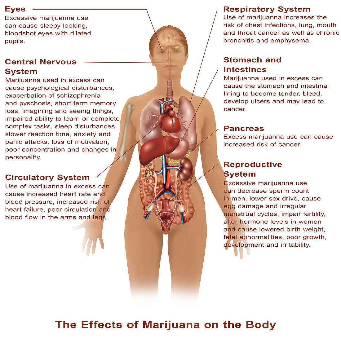 Effects of Marijuana Use