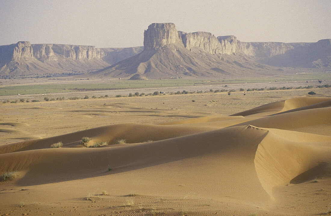 Saudi Arabian Desert