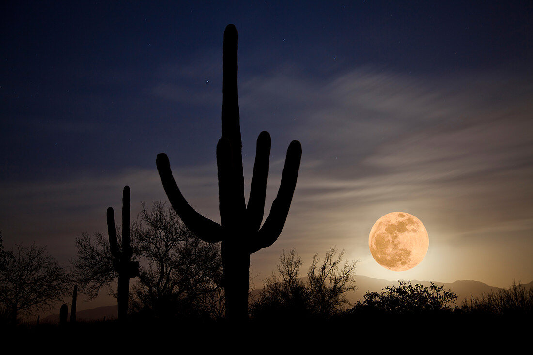 Super Moon over Sonoran Desert
