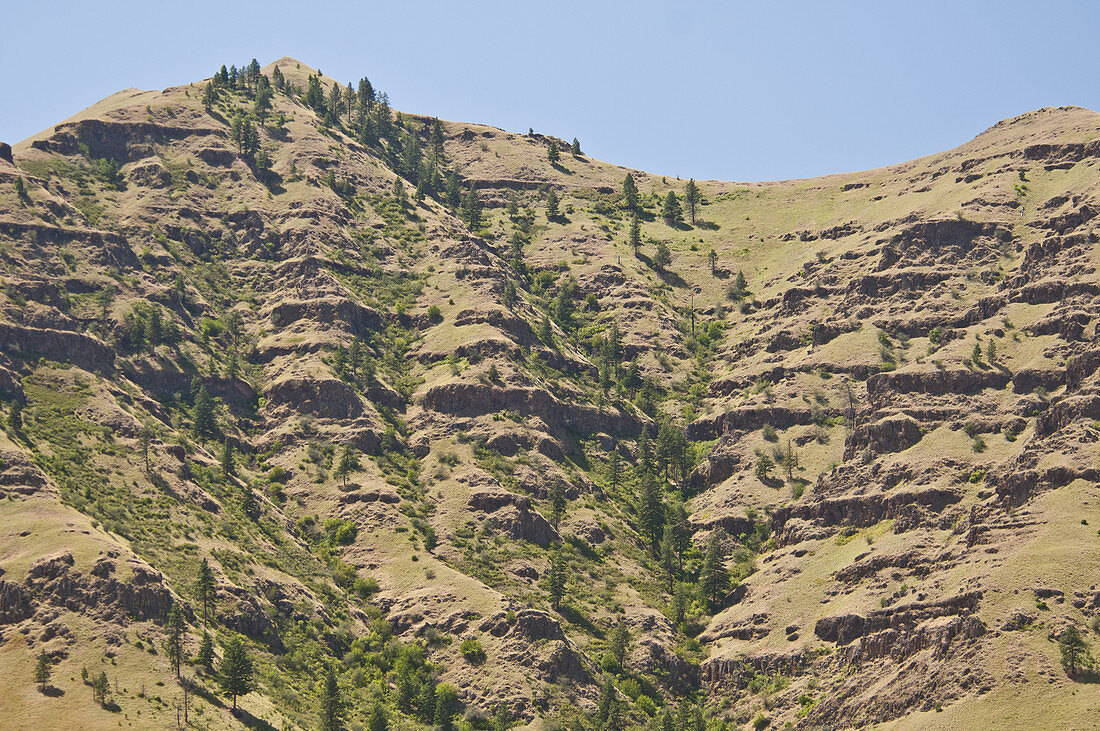 Basalt Flows,Imnaha,Oregon