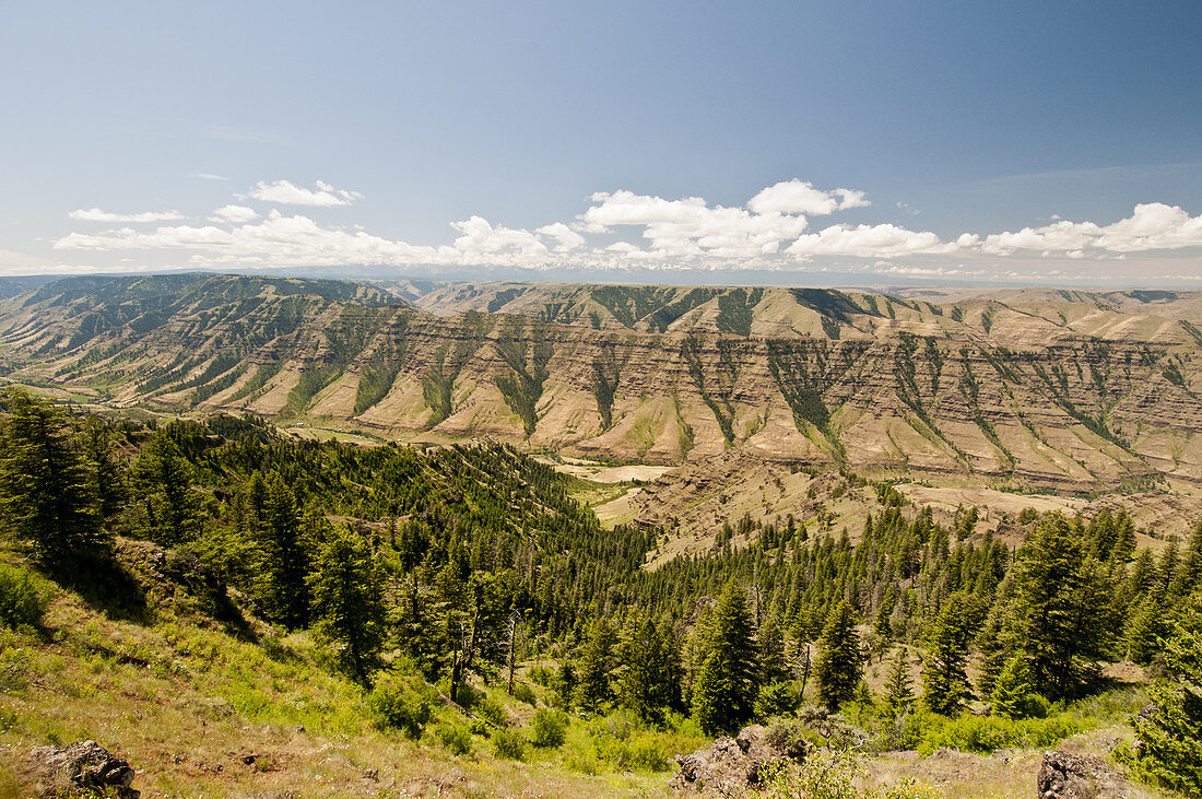 Imnaha Basalt,Oregon