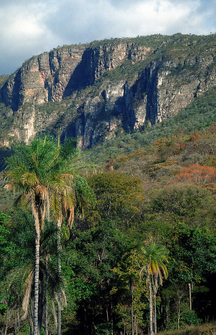 Plateau in Brazilian Highlands
