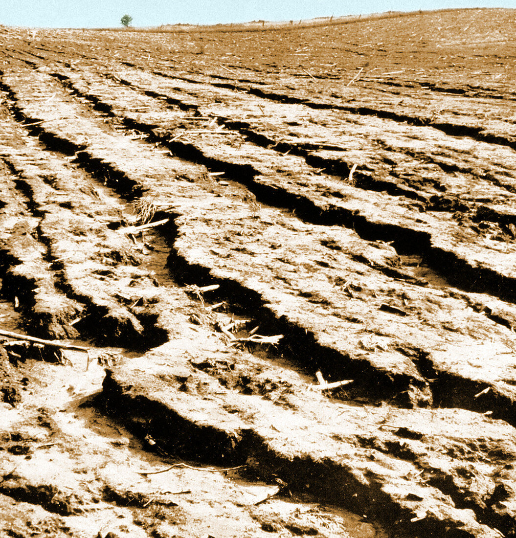 Dust Bowl Erosion