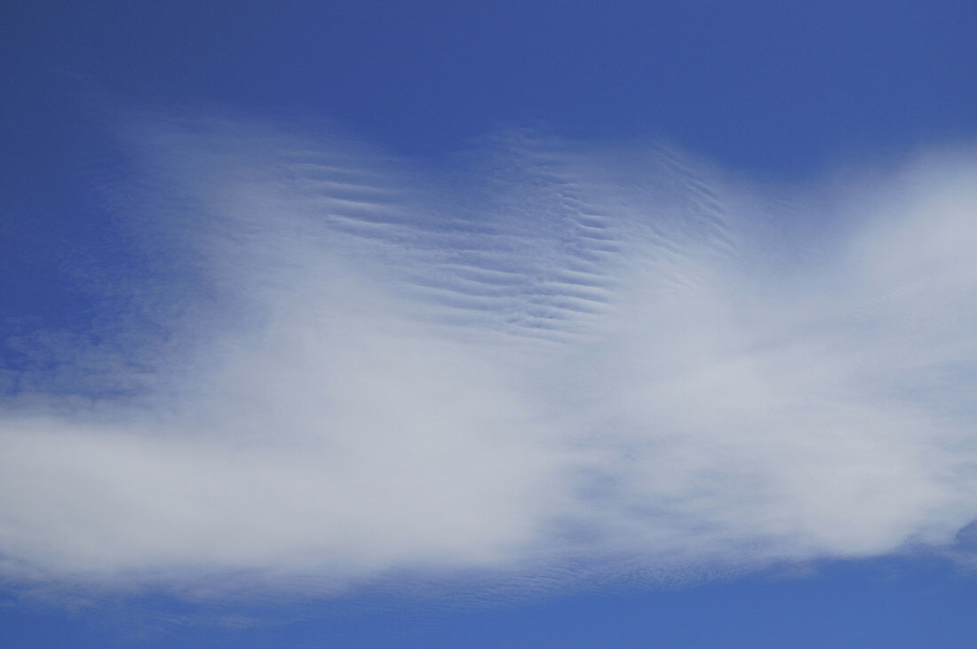 Cirrocumulus Undulatus Clouds