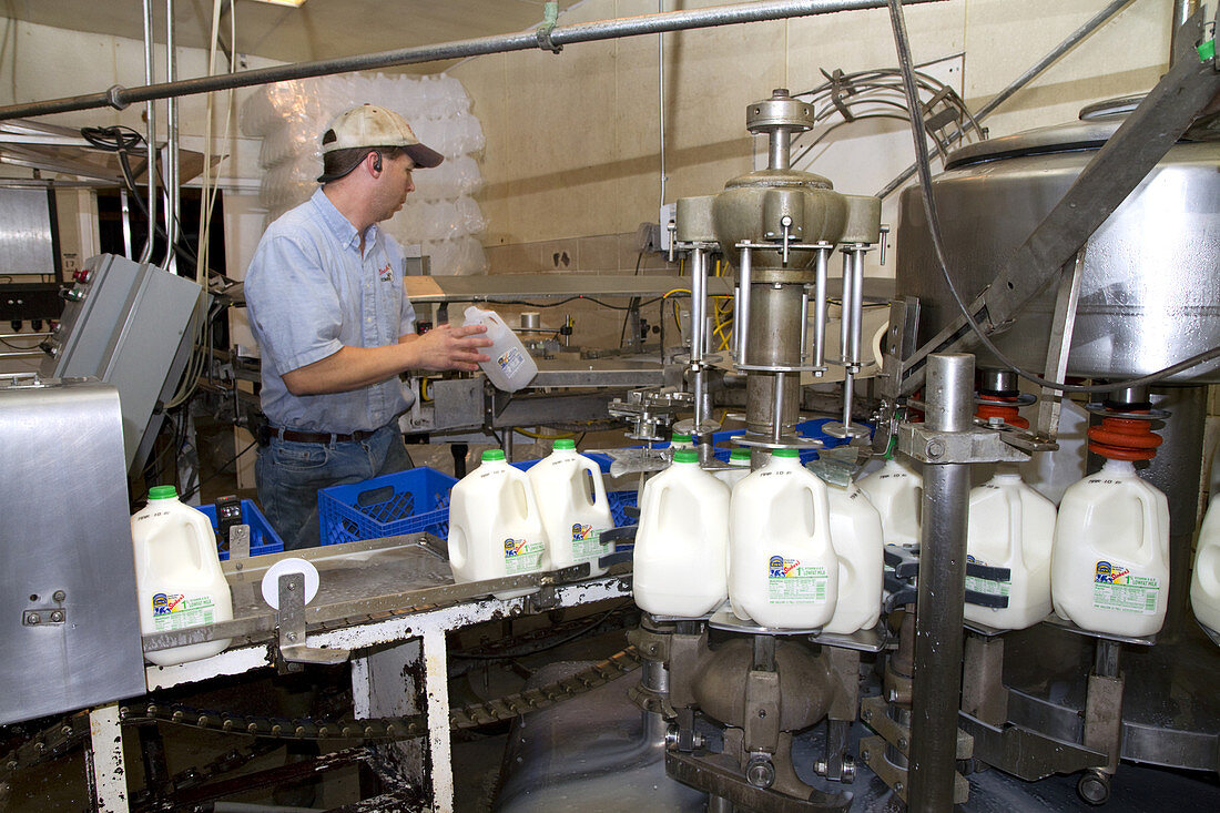 Stoker Milk Company's Bottling Plant