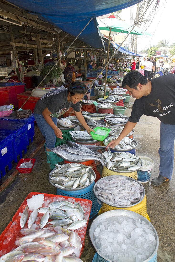 Vendor Selling Fresh Fish