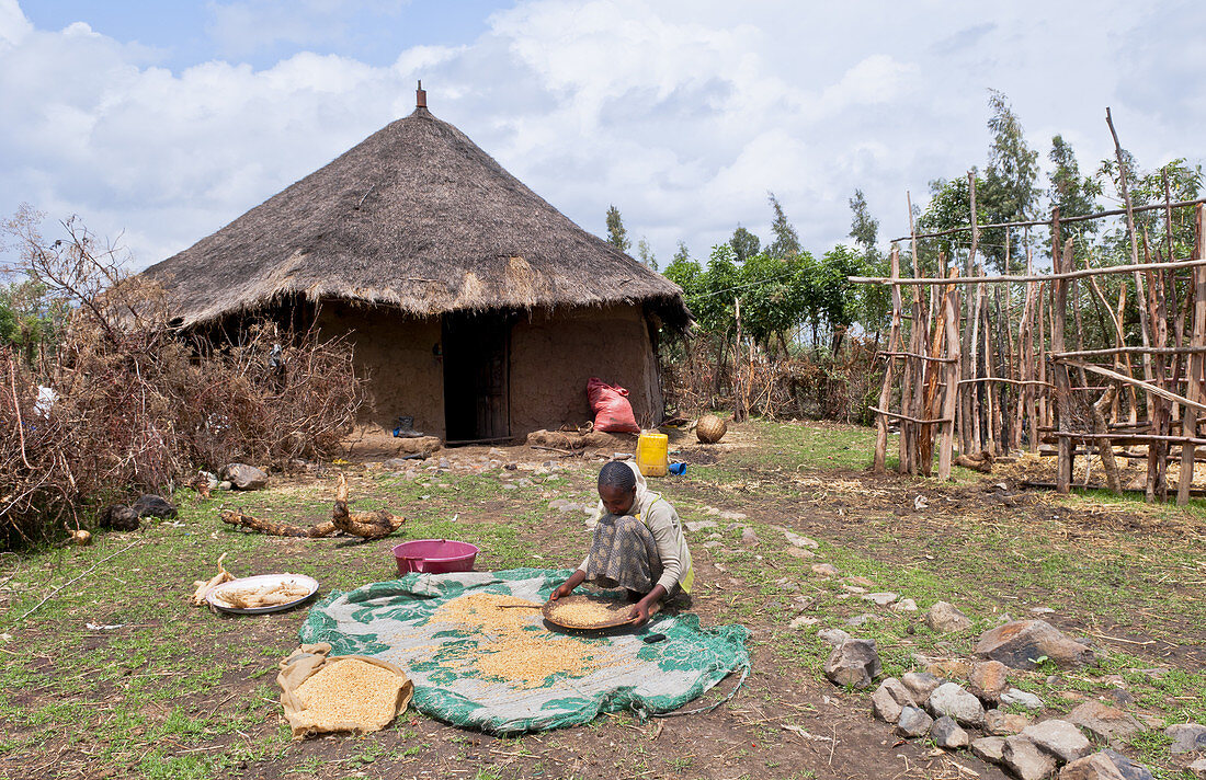 Oromo Tribe Woman Sifting Wheat