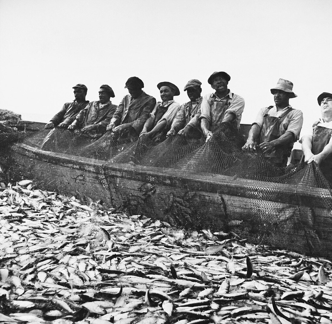 Fisherman with Catch