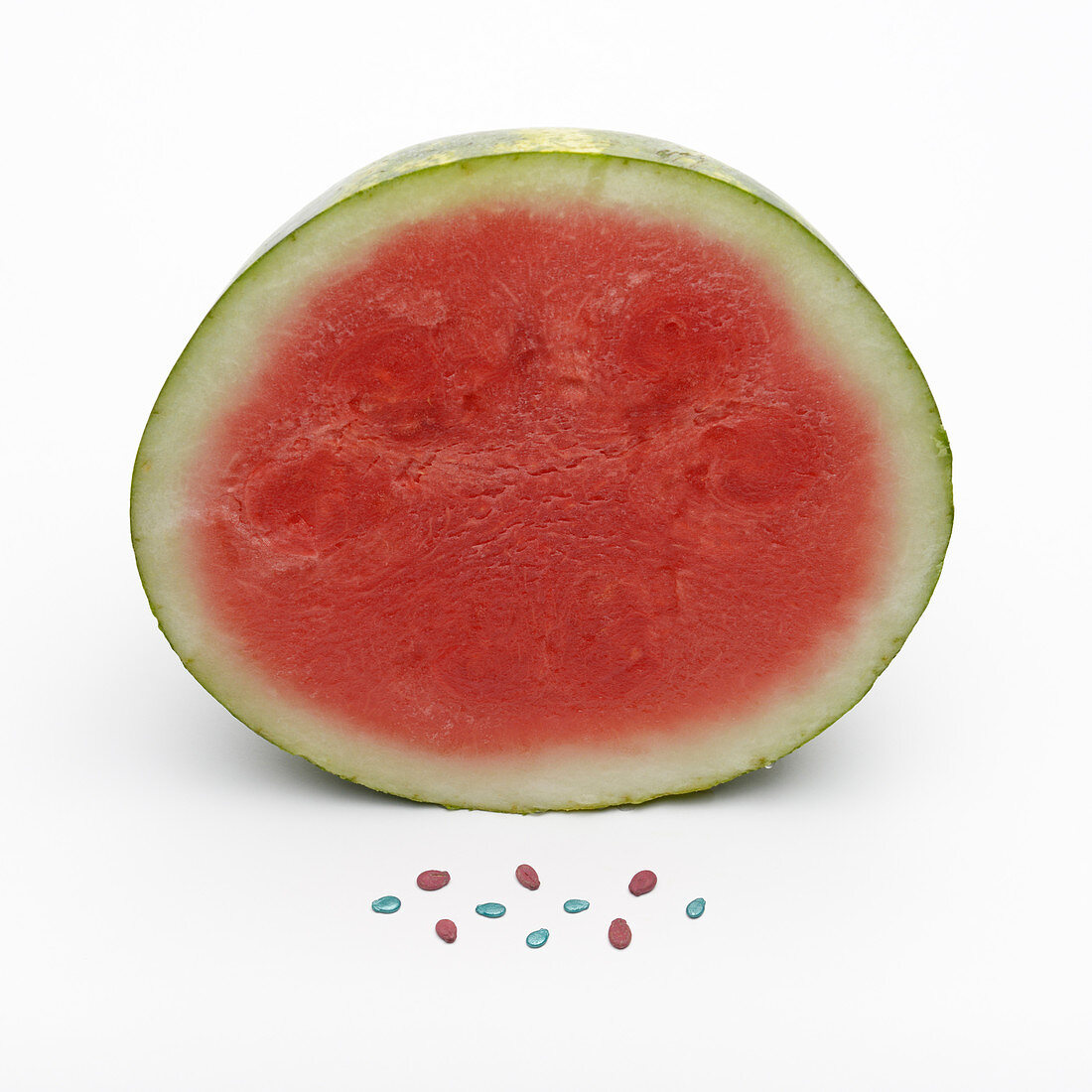 Seedless watermelon genetics