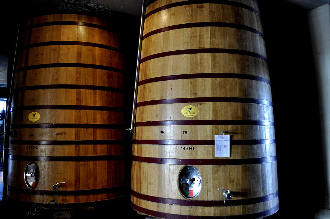 Winery Mendoza,Argentina