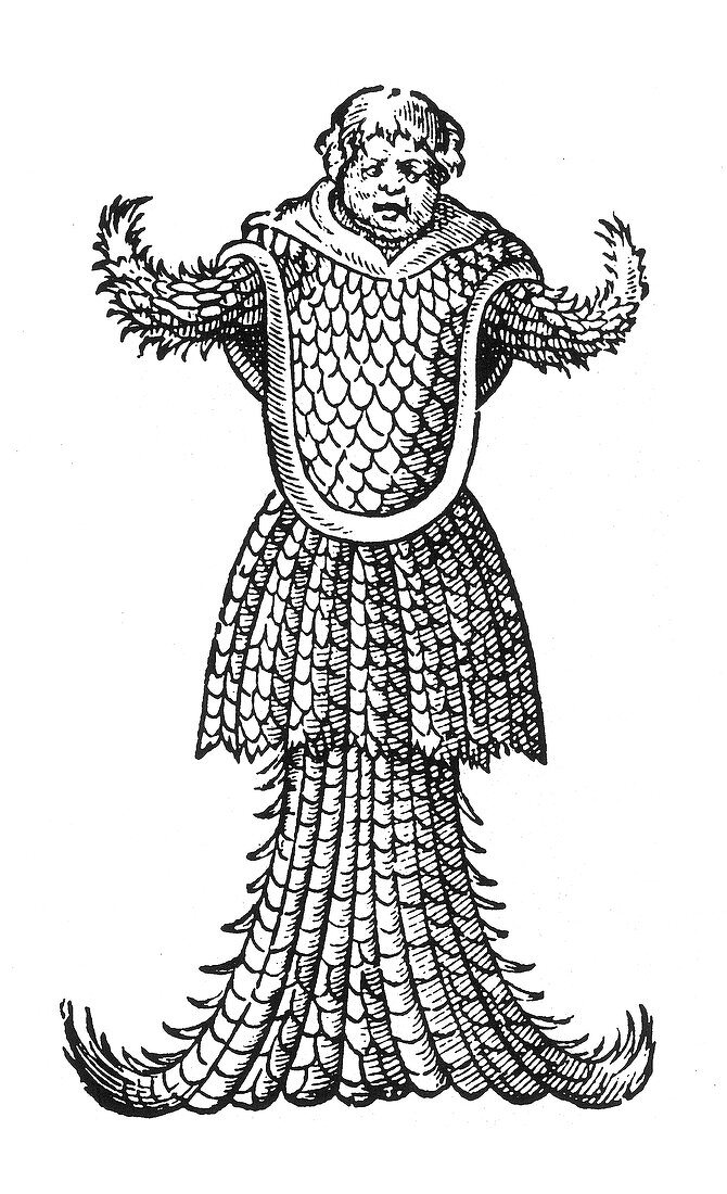 Sea Monk,Legendary Monster,16th Century