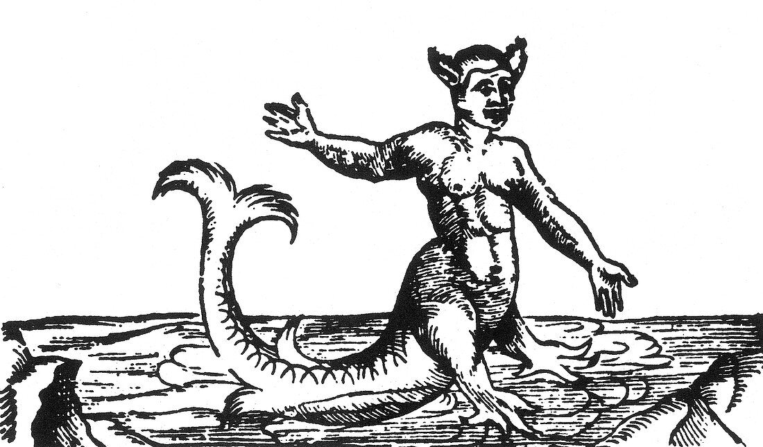 Merman,Legendary Creature,16th Century