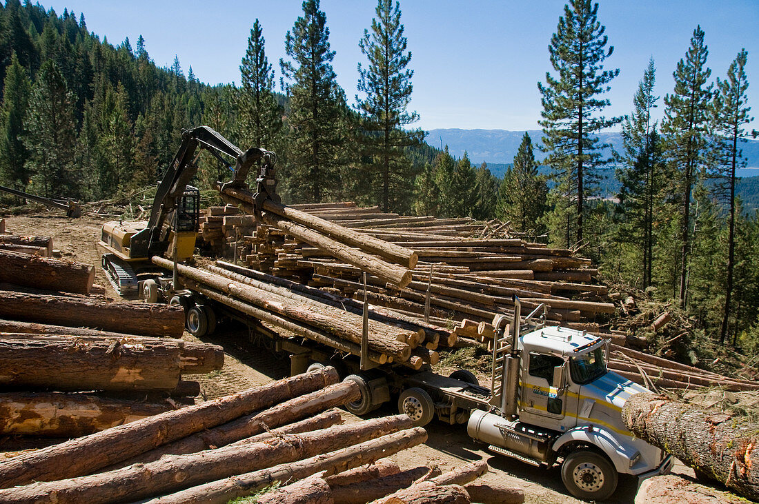 Loading Logs onto a Truck