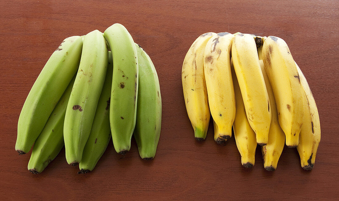 Ripe and Unripe Bananas