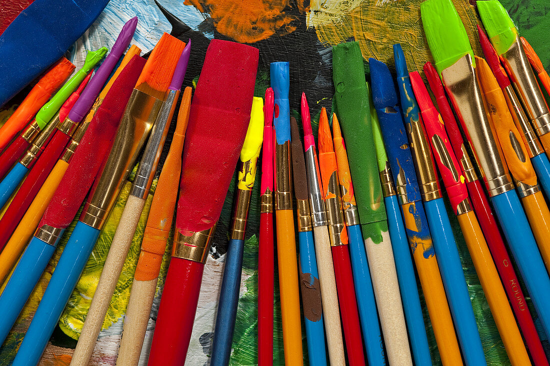 Paintbrushes Lined up on Palette