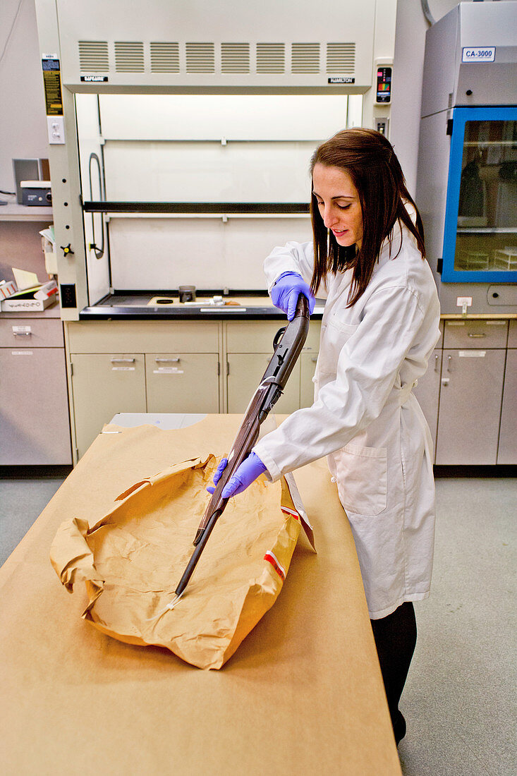 Forensic Technician Examines Shotgun