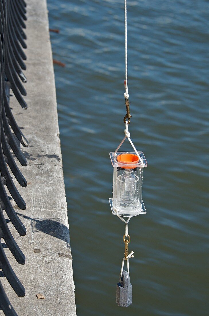 Collecting Water From East River,NYC