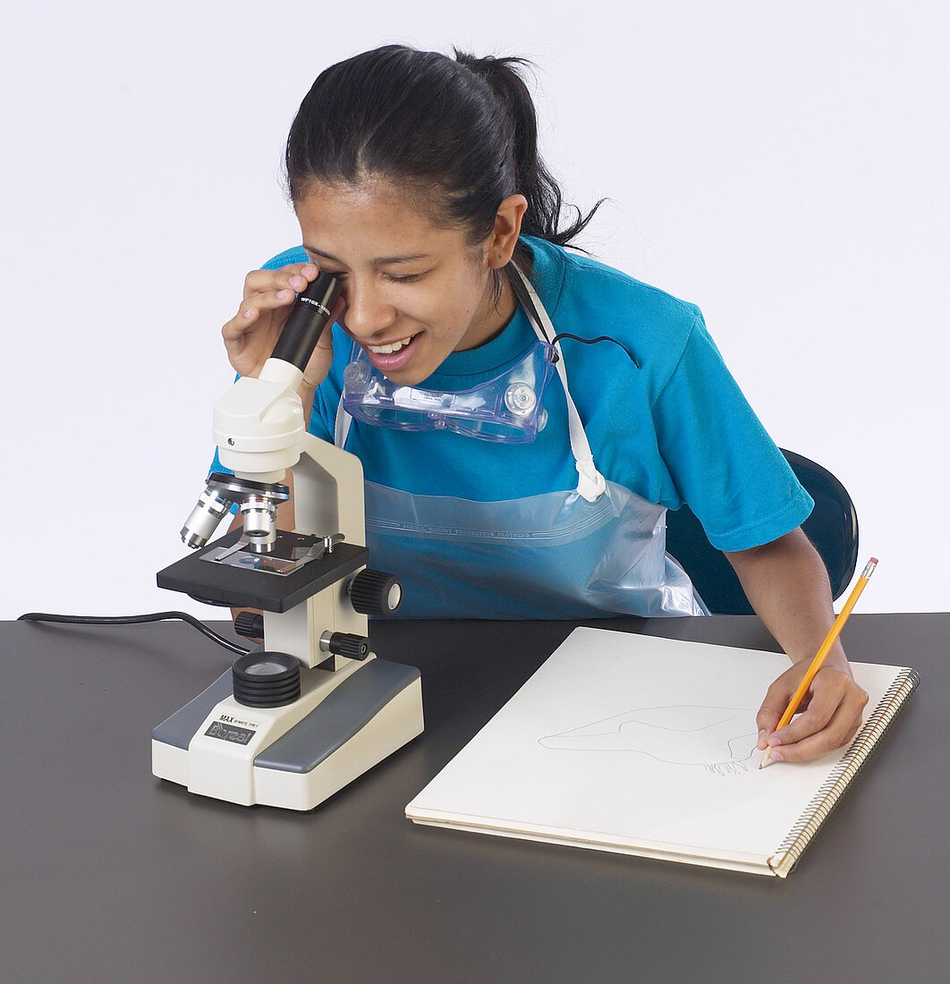 Student Viewing Lichen in Microscope