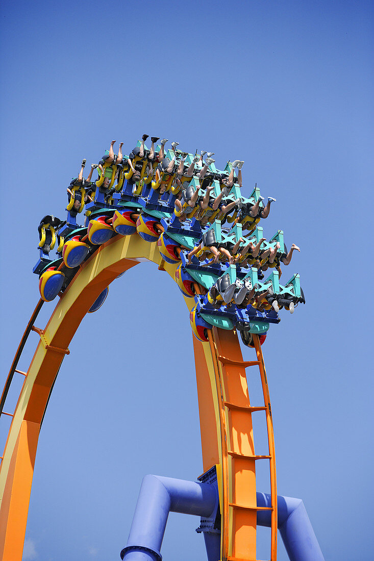 Inverted Roller Coaster