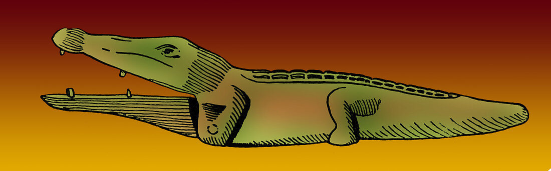 Ancient Egyptian Toy Crocodile,500 BC